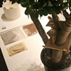 RAFT: Curated Installation by Laura Shaeffer + Rachel Tredon