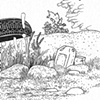 Tire with rock and jug