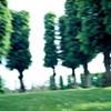 The Four Trees