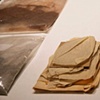 RAFT: Curated Installation by Laura Shaeffer + Rachel Tredon
