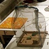 RAFT: Curated Installation by Laura Shaeffer + Rachel Tredon