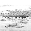 The Big Hole (Exit Wound)