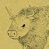 Bison Man
