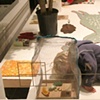 RAFT: Curated Installation by Laura Shaeffer + Rachel Tredon