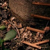 RAFT: Curated Installation by Laura Shaeffer + Rachel Tredon