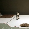 RAFT: Curated Installation by Laura Shaeffer + Rachel Tredon