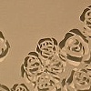 untitled, roses