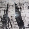 Untitled Study