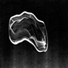 Two Souls