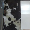 Hour Glass- Digital Proto Infancy
