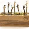 Woodland Herd Menagerie Series Counter Scene Box 