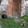Finland