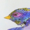 Hair Feathers Collectively Remain Secret