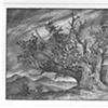 The trees