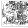 "Fudo - the Bristlecone Pine"