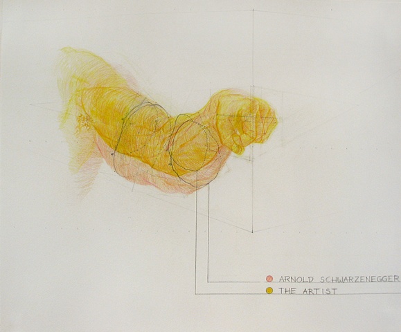The Artist vs. Arnold Schwarzenegger