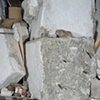 Son of Arnold (detail)