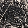 Fossil Rubbing (Mummy)