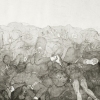 The Pile (Disasters of War)