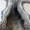 Fossil (Pete)