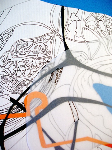 Topography of Jellyfish Point (detail)