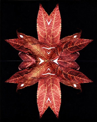Leaflake