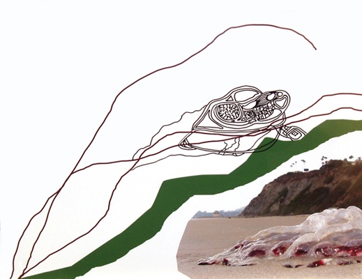 Red Tide: Point