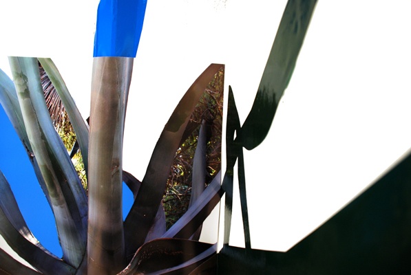 Succulent Pasadena (detail)