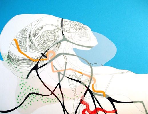 Topography of Jellyfish Point