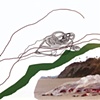 Red Tide: Point