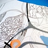 Topography of Jellyfish Point (detail)