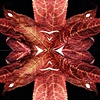 Leaflake