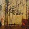 secret forest