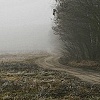 Land's Remains