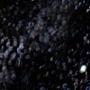Untitled 01