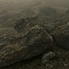 Untitled 38
