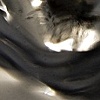Untitled 12