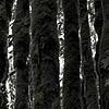 Untitled 21