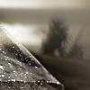 Untitled 23