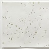 One hundred bugs, one hundred bugs and one hundred bugs (detail), 