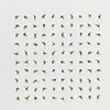 One hundred bugs, one hundred bugs and one hundred bugs (detail)