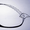 Infinity/Black Hole