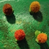 Artificial Landscape
