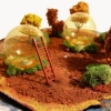 Utopian Grove