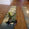 Raceable Landscape
