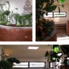 Trailer Park, Interior Details