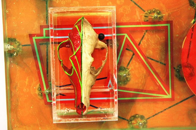 The Revisionist's Lens (detail)