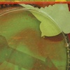 No Flight Home (detail)