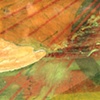 The Old Man's Rear View (detail)