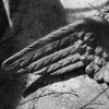 " Final Flight "